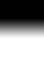 background2.jpg