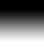 background4.jpg